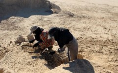 ۵ هزار سال قدمت ابزارسازی در دشت جنوبی سیستان