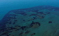 افتتاح پارک باستان شناسی زیر آب در قبرس