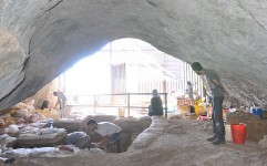 کشف بقایای کفتار غارنشین در قدیمی ترین محوطه باستانی ایران