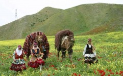 مشکل فروش و صادرات صنایع دستی در خراسان شمالی چیست؟