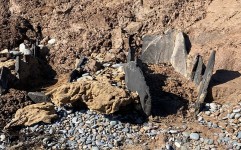 کشف گورستان ۶ هزار ساله انسان و حیوان