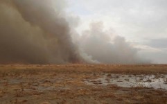 آتش سوزی تالاب میقان موجب افزایش پارامترهای آلودگی هوا در اراک شد