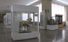 موزه ملی ایران با «لوور» رکورد شکست