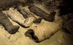 کشف ۵۰ مومیایی چند هزارساله در مصر