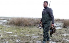شکار پرندگان در شرق مازندران ممنوع شد