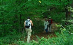 3 مفقود جنگل های الیمستان پیدا شدند