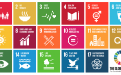شاخص های توسعه پایدار از MDGs تا SDGs