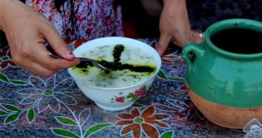 بازدید رحمانی موحد از جشنواره بین المللی غذای کشورهای اکو-جاده ابریشم