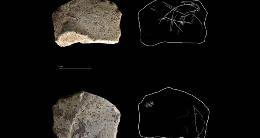 کشف حکاکی های ۱۴ هزار ساله در اسپانیا