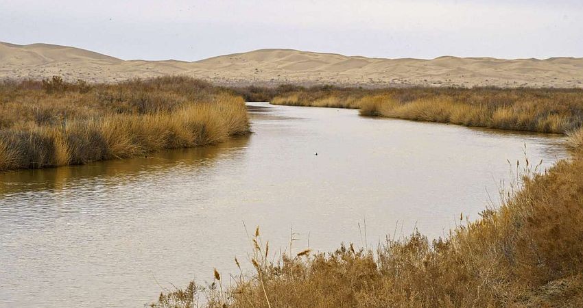 تالاب های فلات مرکزی ایران دچار مرگ آبی شده اند