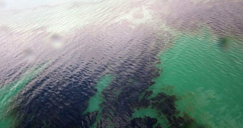 برآورد خسارت محیط زیستی لکه های نفتی خلیج فارس
